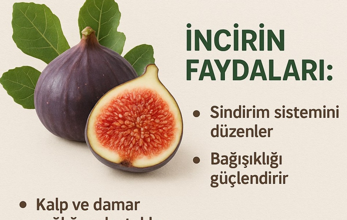 Kuru İncirin Faydaları | Doğal ve Besleyici Kuru Meyve Rehberi