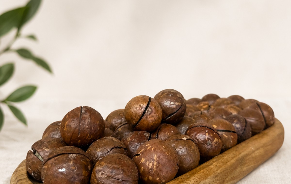 Makadamia Fındığı Nedir? Premium Kuruyemiş Rehberi