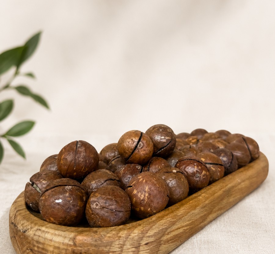 Makadamia Fındığı